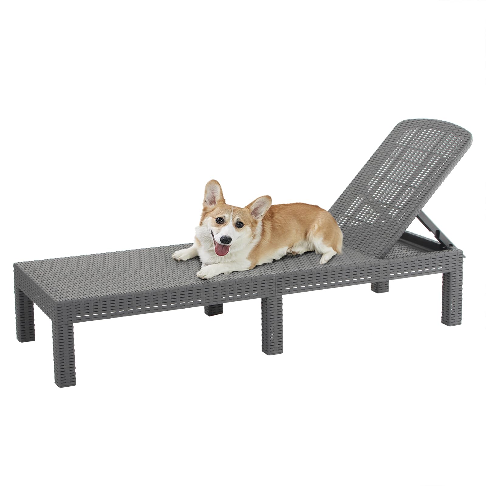 DIMAR GARDEN Beach Chairs Outdoor Chaise Lounge,Resin Pool Lounge Chair Waterproof Recliner,Mocha