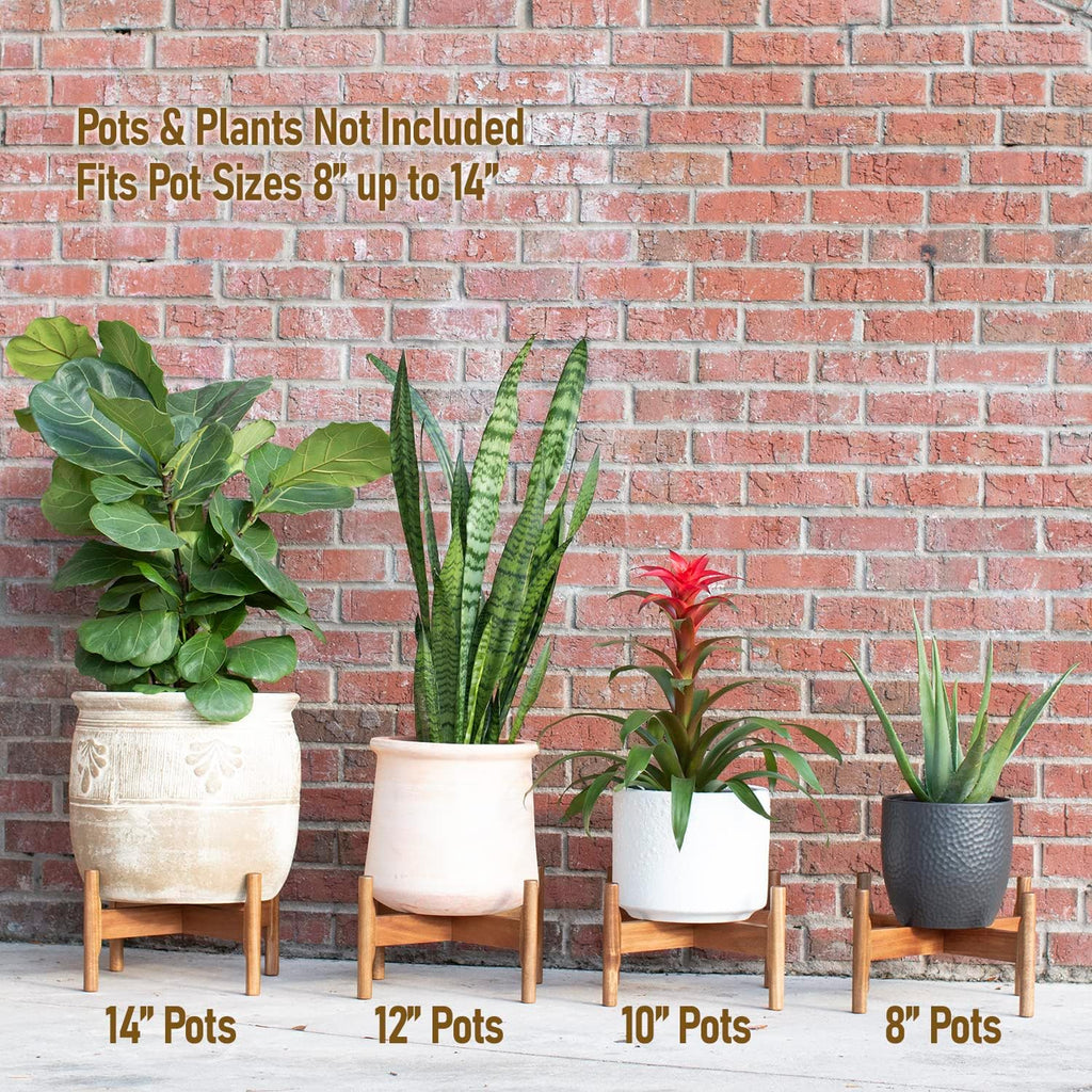 Macaw on Kapok Wood Plant Stand - Fits 8 10 12 to 14 inch Plant Pot - Acacia Solid Wood - Planter Stands for Indoor Plants - Outdoor Planter Large - Modern Plant Holder - Mid Century Plant Stand - Flower Pot Stand