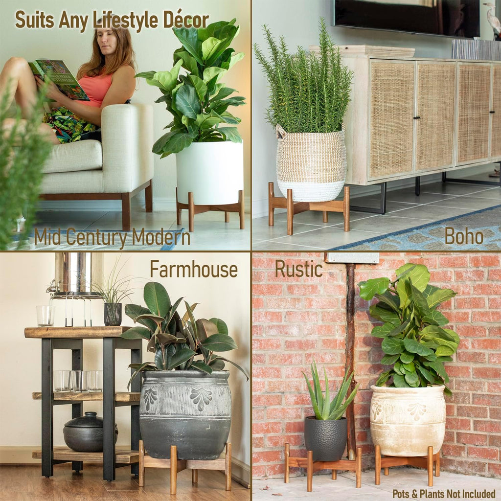 Macaw on Kapok Wood Plant Stand - Fits 8 10 12 to 14 inch Plant Pot - Acacia Solid Wood - Planter Stands for Indoor Plants - Outdoor Planter Large - Modern Plant Holder - Mid Century Plant Stand - Flower Pot Stand